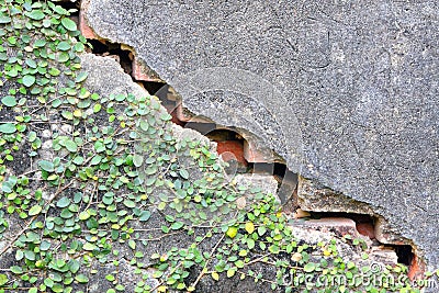 Cracked Wall Stock Photo