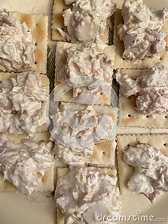 Crackers Topped With Albacore Tunafish for Snack Stock Photo