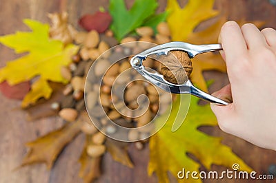 Cracking walnut Stock Photo