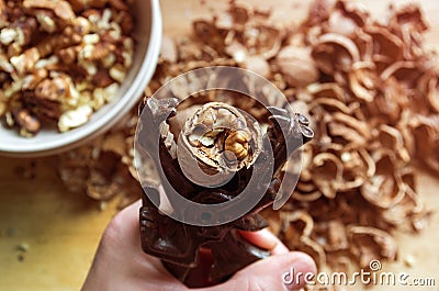 Cracking walnut nutcracker in hand on the background of the slides of the shell Stock Photo