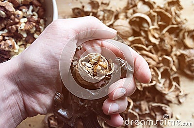 Cracking walnut nutcracker in hand on the background of the slides of the shell Stock Photo