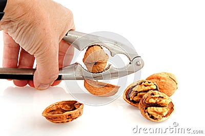 Cracking the whole walnut Stock Photo