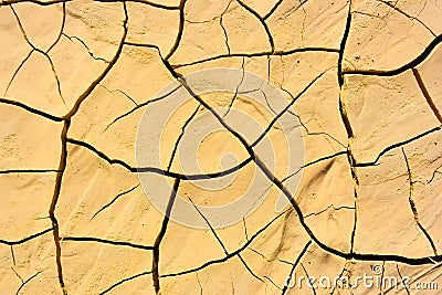 The crackled earth Stock Photo