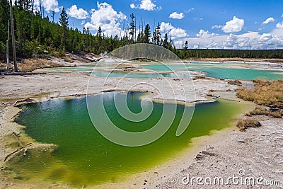 Crackling Lake at Norris Geyser Basin at Yellowstone National Park Wyoming USA Stock Photo