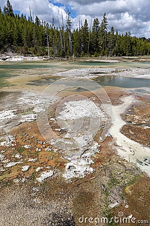 Crackling Lake, Porcelain Basin, Yellowstone Stock Photo