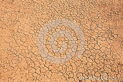 Cracks in the dry soil Stock Photo