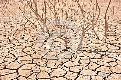 Cracks in soil due to drought Stock Photo