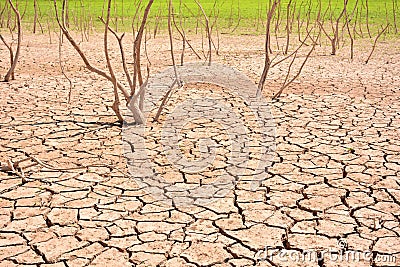 Cracks in soil due to drought Stock Photo