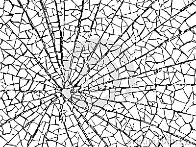 The cracks texture white and black. Vector background.Cracked earth Vector Illustration
