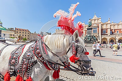 Cracow, Poland. Traditional horse carriage on the main old town market square. Stock Photo