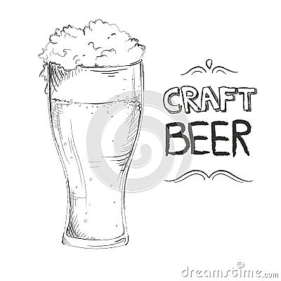 Craft beer hand drawn with lettering Vector Illustration