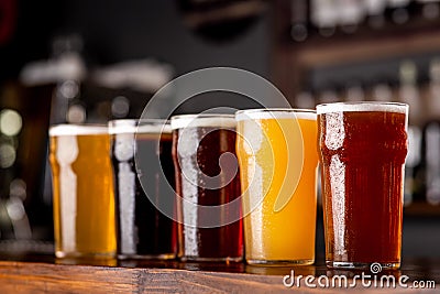 Craft beer and industry. Lager, ale and light, dark, unfiltered beer in glasses on wooden bar counter Stock Photo