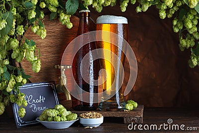 Craft bottled and unbottled beer with barley and hops Stock Photo