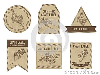 Craft labels vintage design with illustration of wax flower Vector Illustration