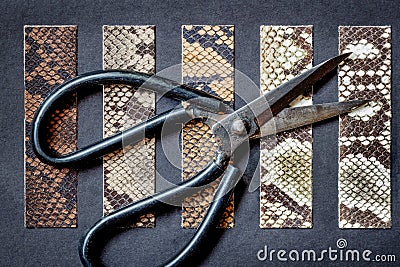 Crafting scissors and samples of genuine leather of different shades embossed under skin exotic reptiles, top view, manufacturing Stock Photo