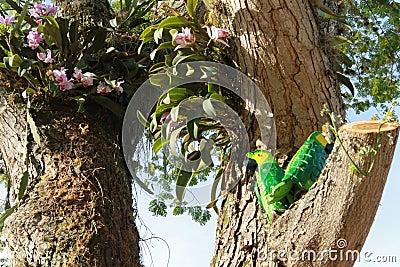 Crafts adorning the central park of a town in Colombia Stock Photo