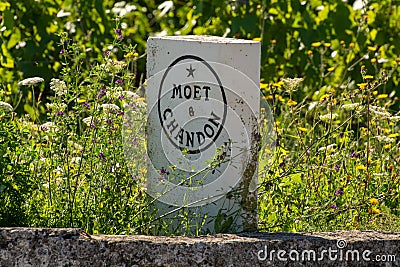 Cramant, France, 18 July 2021, white stone territory marking signs of Champagne house Moet&Chandon and view on green chardonnay Editorial Stock Photo