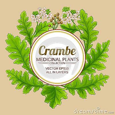 crambe plant vector frame Vector Illustration