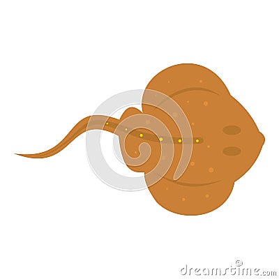 Cramp fish icon isolated Vector Illustration