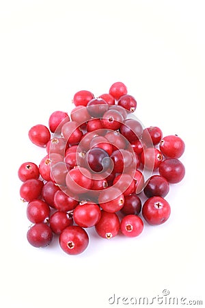 Cranberries Stock Photo