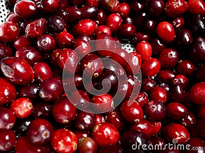 Cranberries Stock Photo