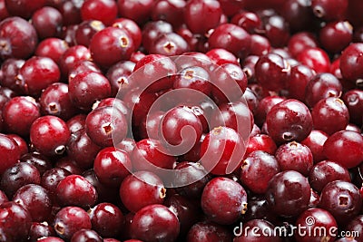 Cranberries Stock Photo