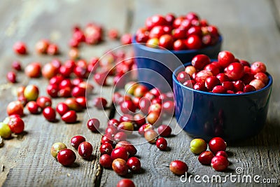 Cranberries Stock Photo