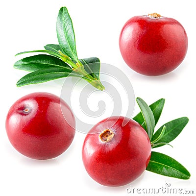 Cranberries isolated. Collection on white Stock Photo