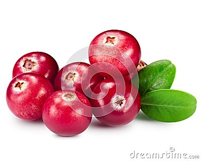 Cranberries Stock Photo