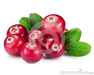 Cranberries Stock Photo