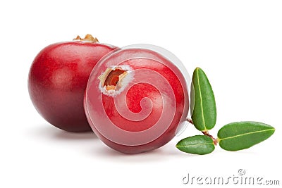 Cranberries isolated on the white background. Stock Photo