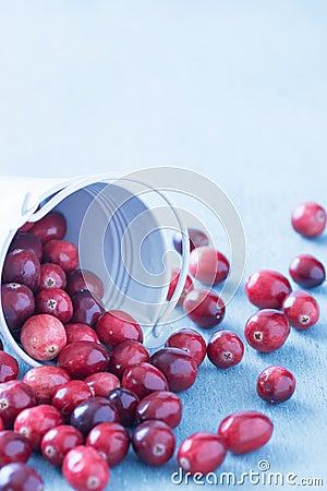 Cranberries in a white fallen over bucket Stock Photo