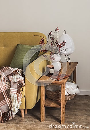 Cranberry branches in a ceramic vase, candles, a paper lamp on a wooden bench next to the sofa Stock Photo