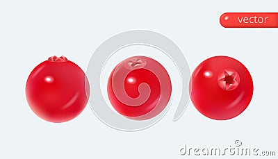 Cranberry 3d realistic set. Realistic vector in cartoon style Vector Illustration