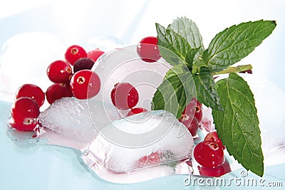 Cranberry and ice Stock Photo