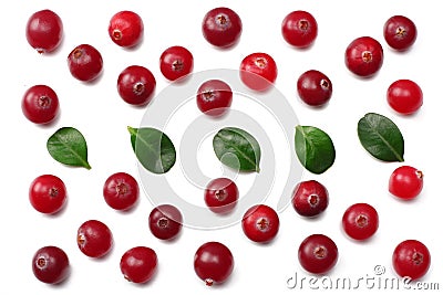 Cranberry with leaves isolated on white. With clipping path. Full depth of field. Stock Photo