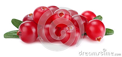 Cranberry with leaves isolated on white. With clipping path. Full depth of field. Stock Photo