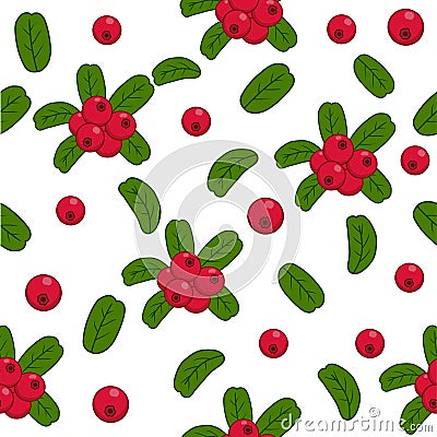 Cranberry pattern semless background Vector Illustration