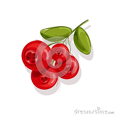 Cranberry.Vector illustration. Berry. Ruit, wild berry Vector Illustration