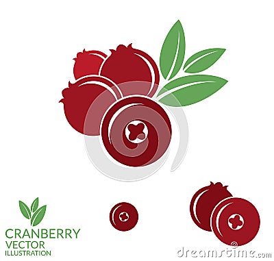 Cranberry Vector Illustration