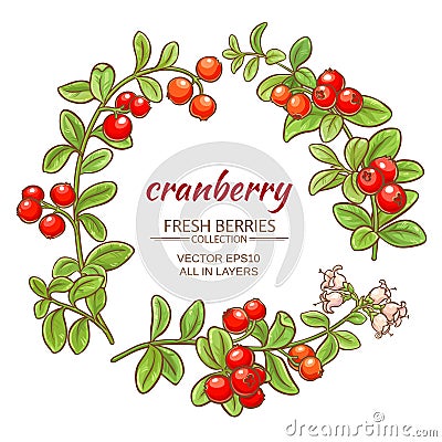 Cranberry vector set Vector Illustration