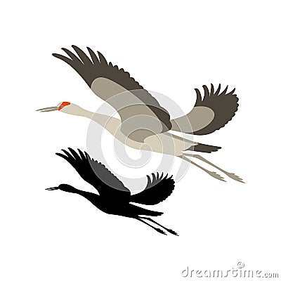 Crane bird vector illustration black silhouette flat Vector Illustration