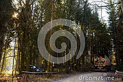Crane in forest loading logs in the truck. Timber harvesting and transportation in forest Editorial Stock Photo