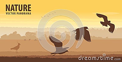 Northern lapwing take off in field on sunrise. Wildlife vector panorama Vector Illustration