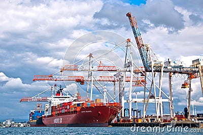 Cranes at port of Tauranga Editorial Stock Photo