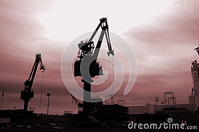 Cranes in the Sunset Stock Photo