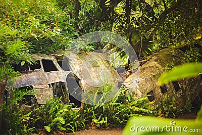 Crashed plane in the rainforest Stock Photo