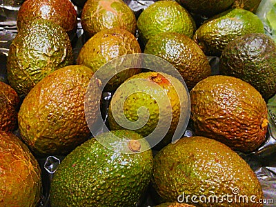 Avocado`s just filled in the supermarket Stock Photo