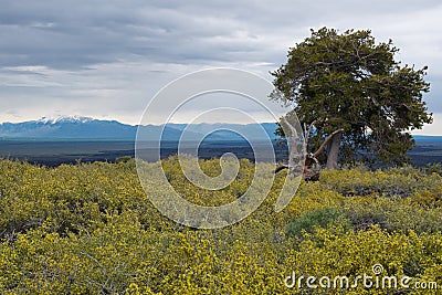 Craters of the Moon National Monument and Preserve, Arco, Idaho Stock Photo