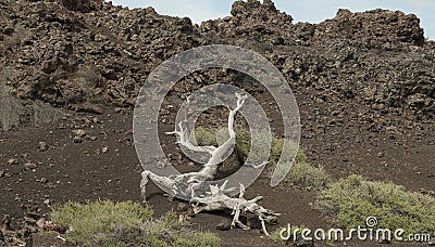 Craters of the Moon National Park Stock Photo